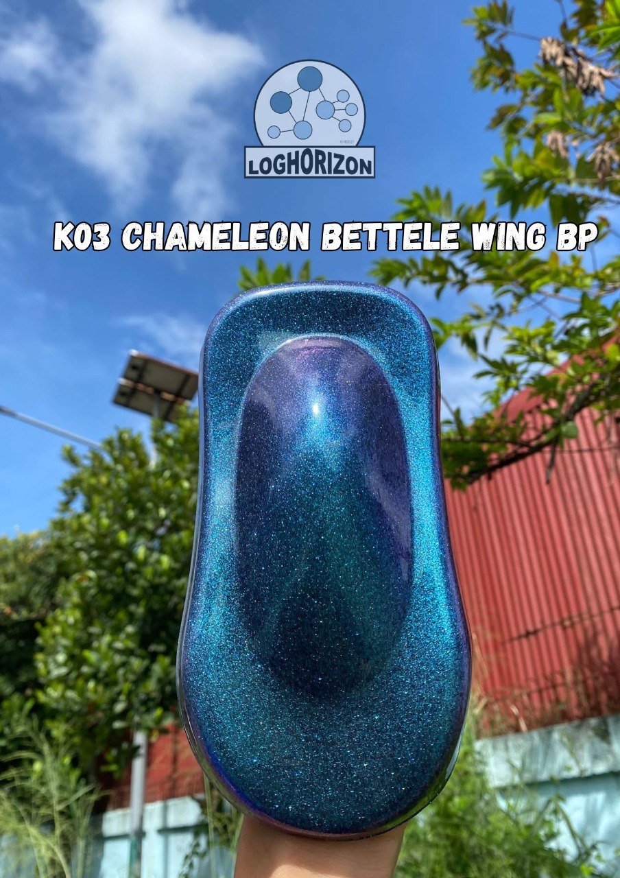 K03 Chameleon Beetle Wing Bp