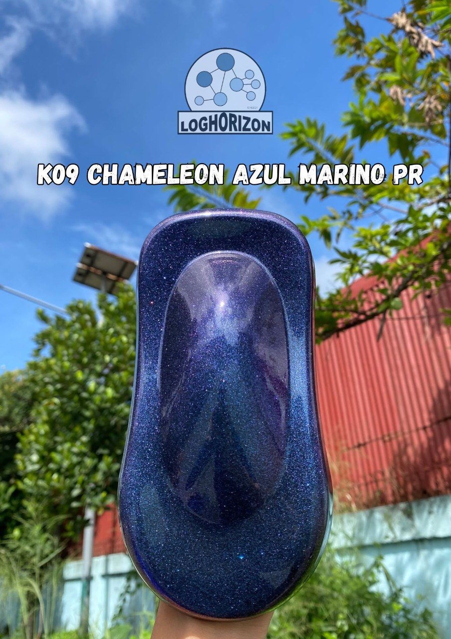 K09 Chameleon Azul Marino Pr