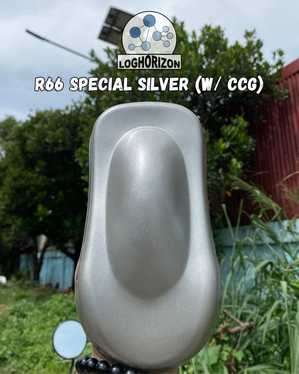 R66	Special Silver