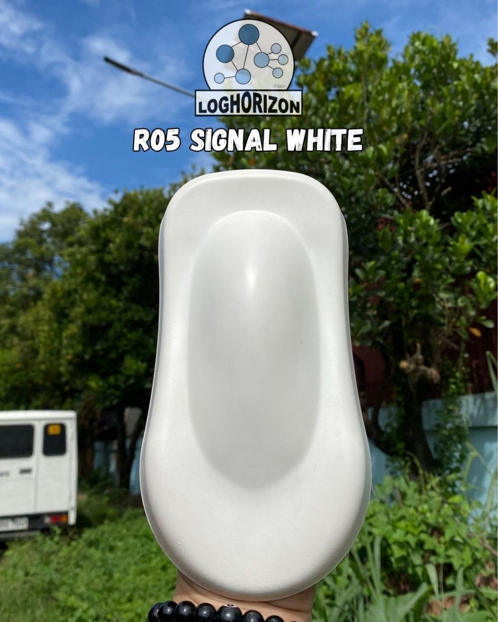 R05	Signal White