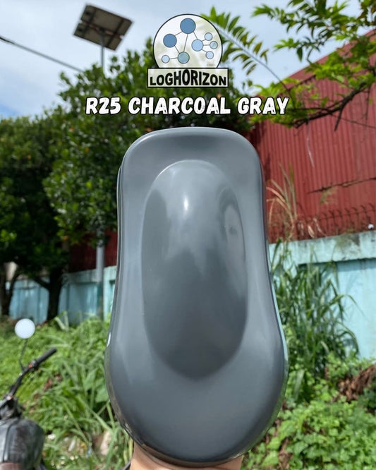 R25	Charcoal Gray