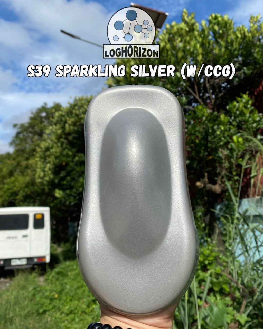 S39	Sparkling Silver