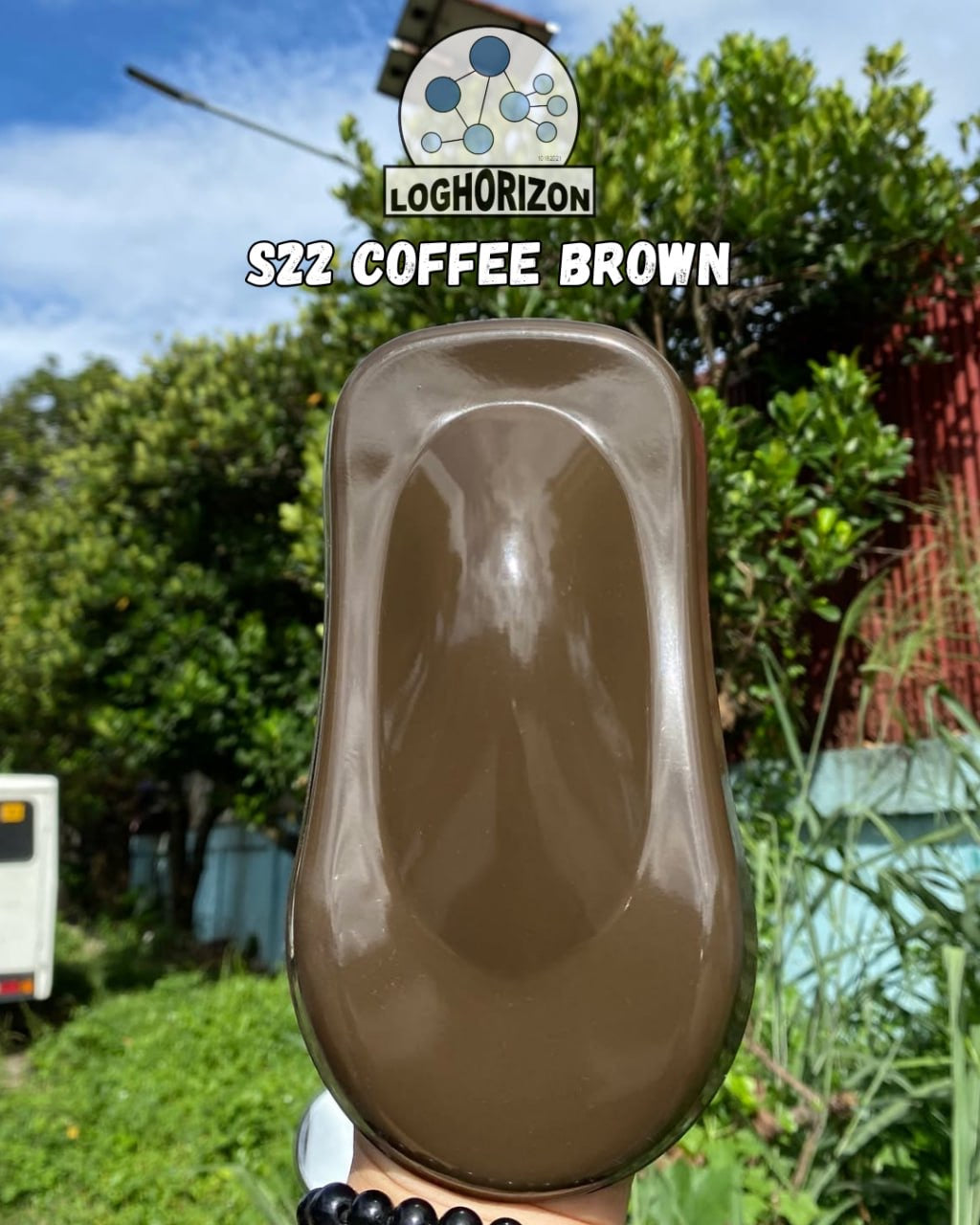 S22	Coffee Brown