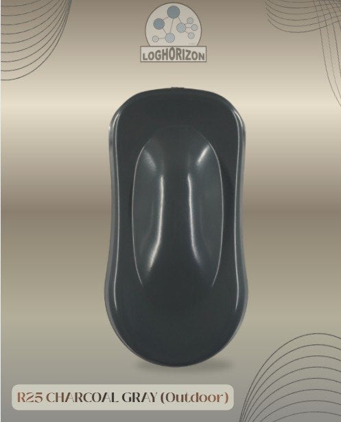 R25	Charcoal Gray